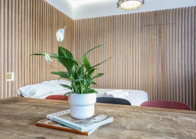 Visualización referencial de la propiedad